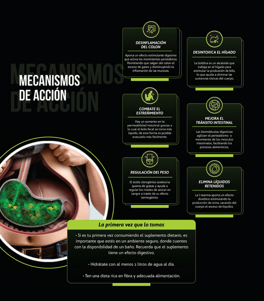 Detox Ilívit: Tu aliado para una digestión saludable
