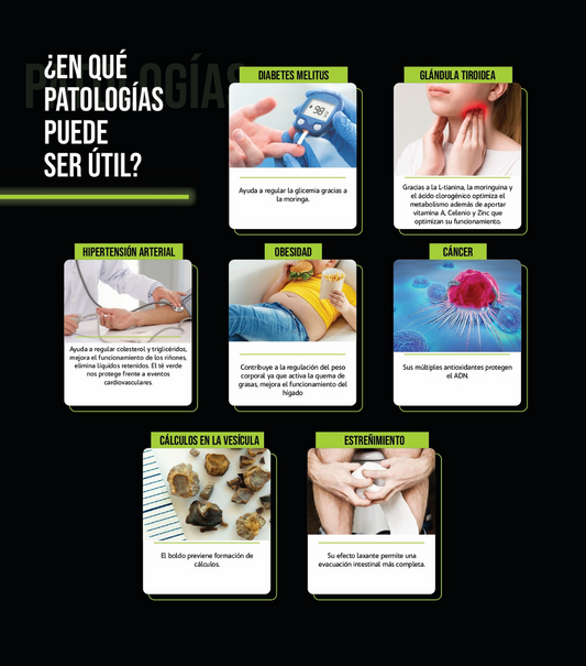Detox Ilívit: Tu aliado para una digestión saludable